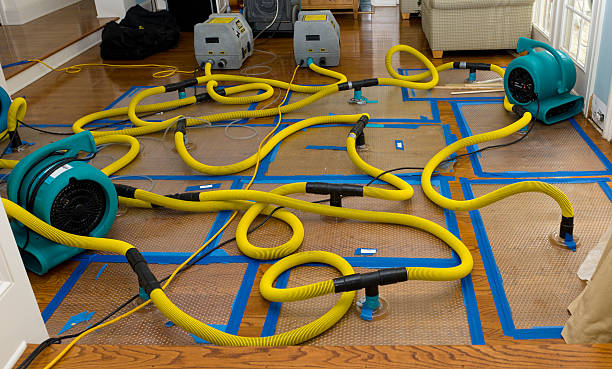 Professional Water Damage Repair technician working in New Madison, OH